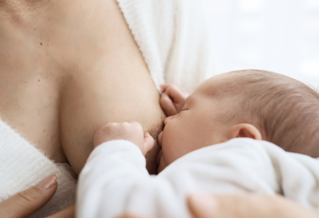 Allattamento Allattamento