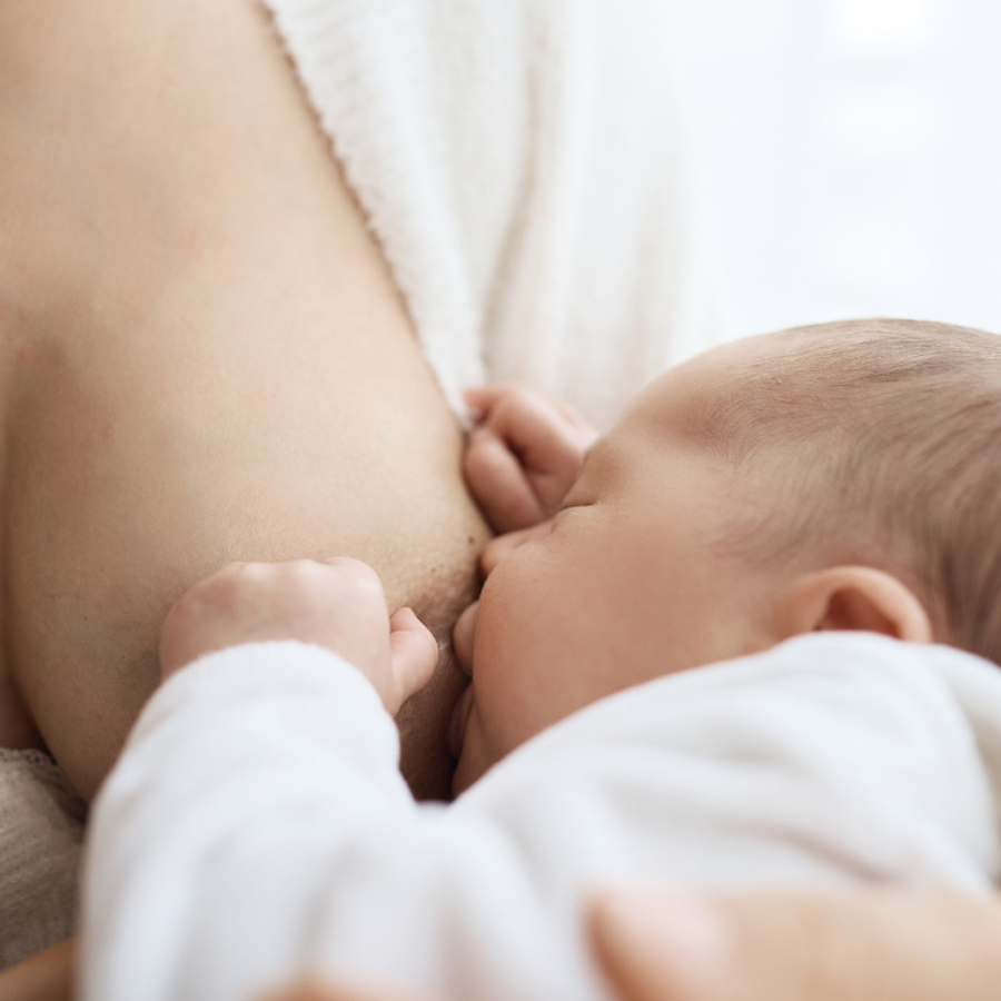 Consulenza | allattamento